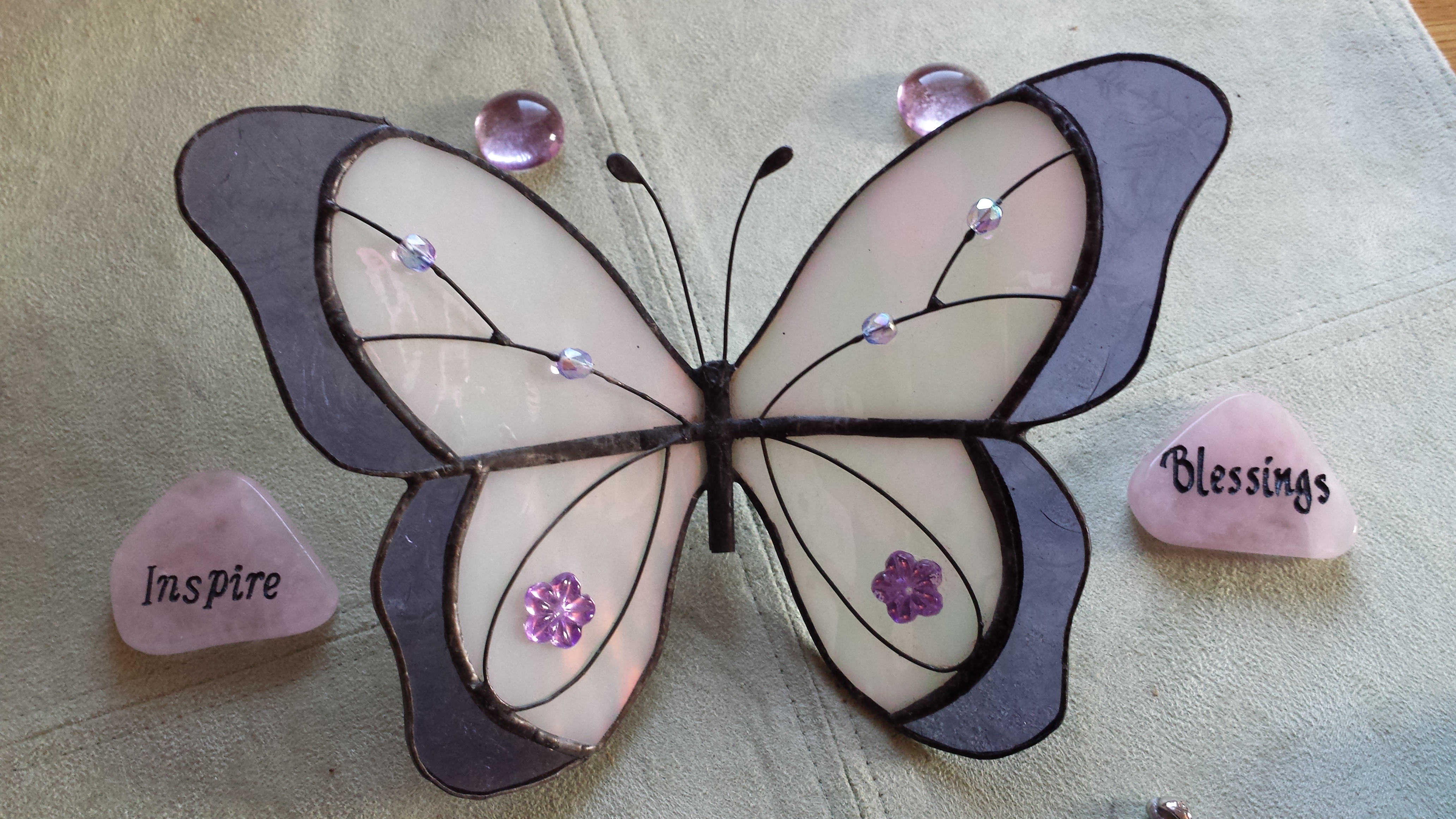 butterfly3