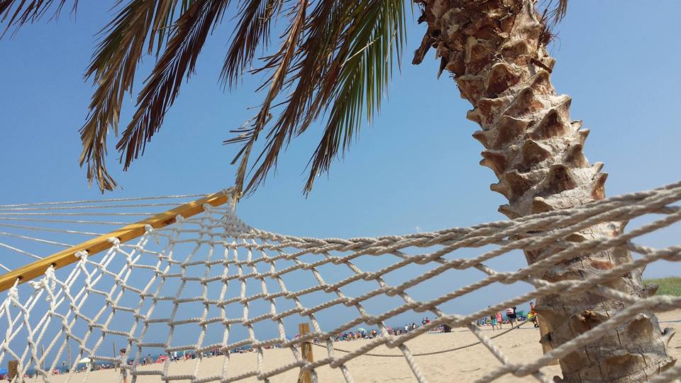 hammock view