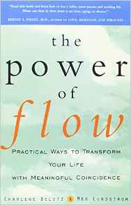 The Power of Flow book